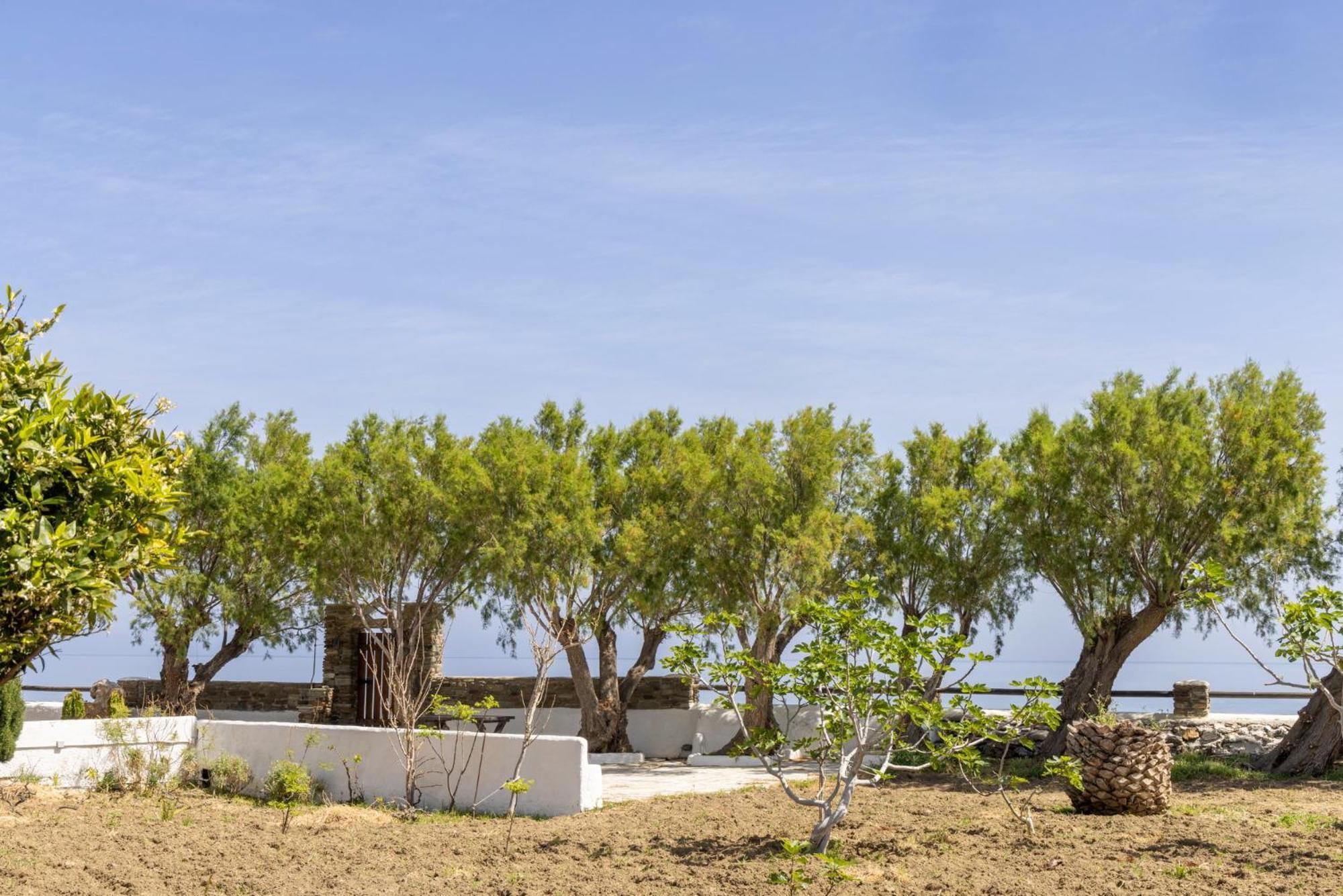 Unforgettable Tinos Beach Houses Complex Agios Ioannis  Zimmer foto